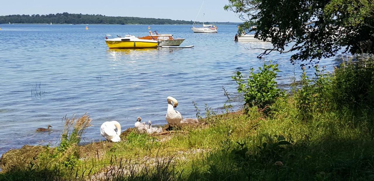 Ferienwohnung Am Schweriner See Raben Steinfeld Exterior foto